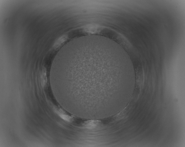X0000081350128200701111505