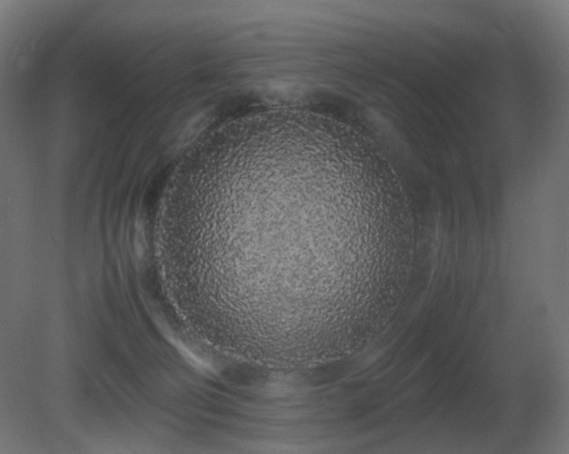 X0000081350130200701111505