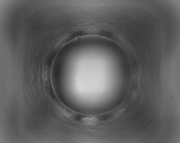 X0000081350133200701111505