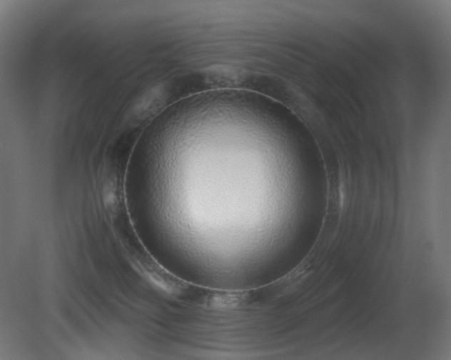 X0000081350134200701111505