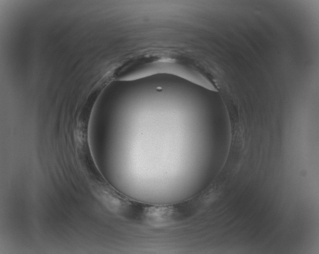 X0000081350135200701111505