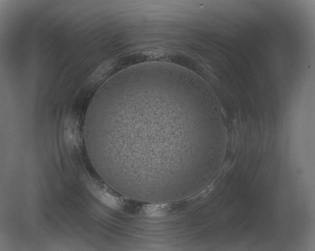 X0000081350136200701111505