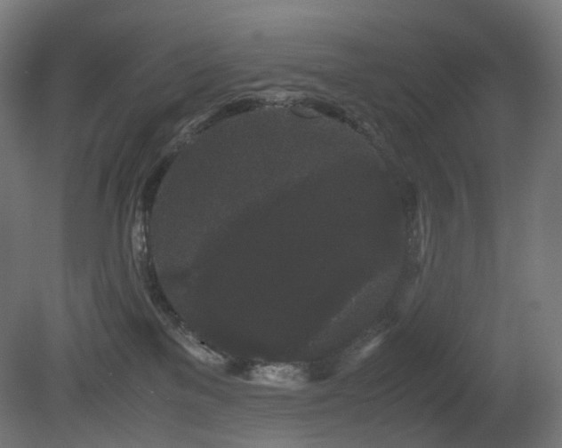 X0000081350137200701111505