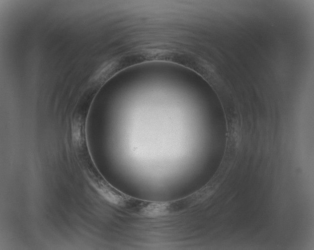 X0000081350138200701111505