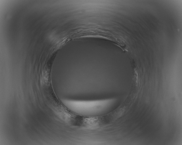 X0000081350139200701111505