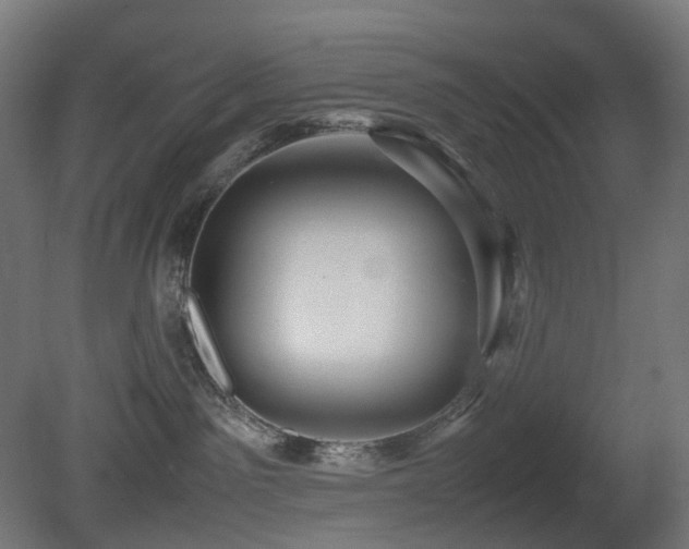 X0000081350141200701111505