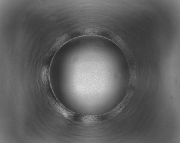 X0000081350142200701111505
