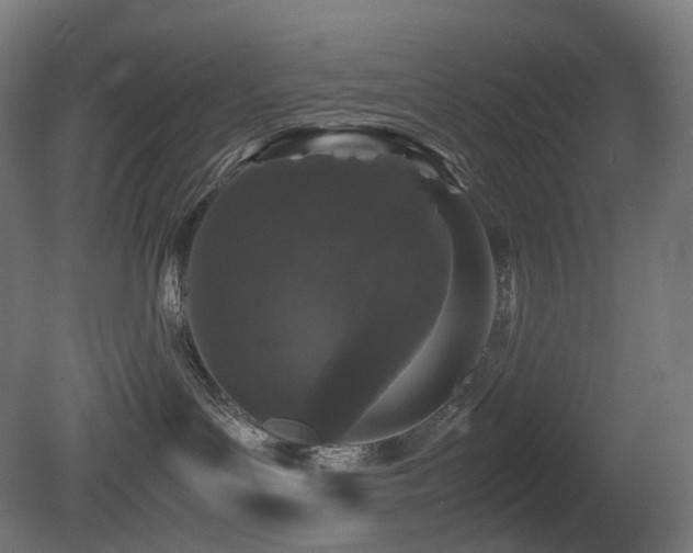 X0000081350143200701111505
