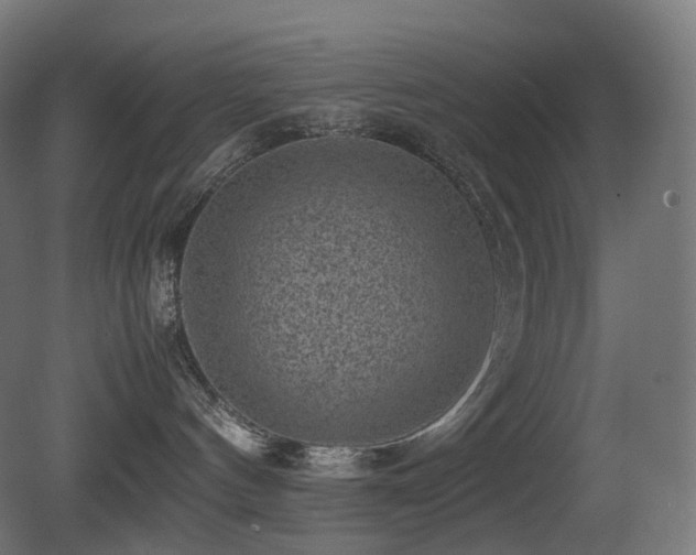 X0000081350144200701111505