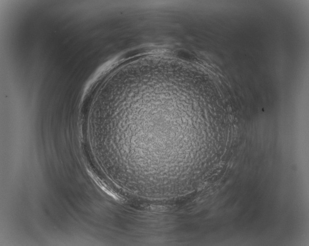 X0000081350149200701111504