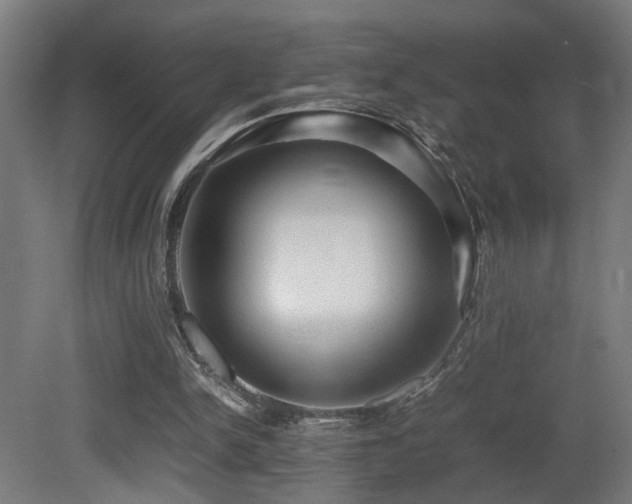 X0000081350150200701111504
