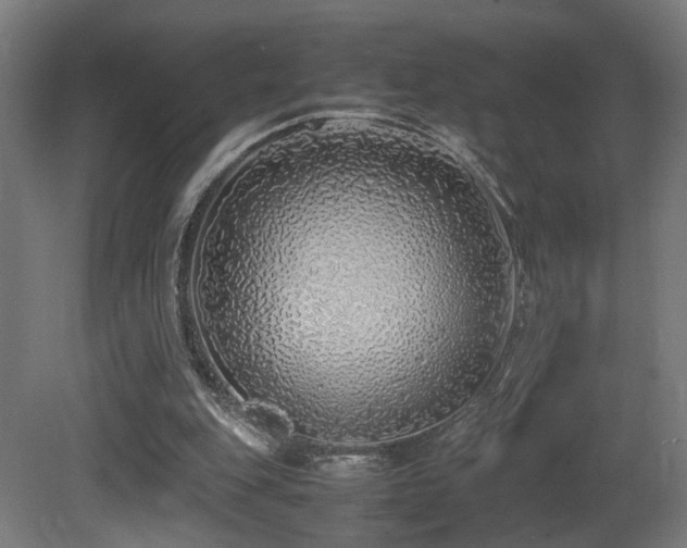 X0000081350151200701111504
