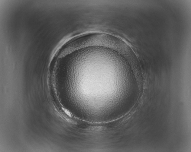X0000081350152200701111504