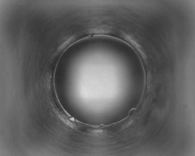 X0000081350153200701111504