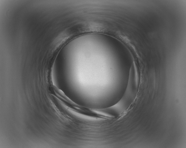 X0000081350154200701111504