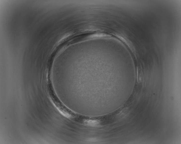 X0000081350157200701111504