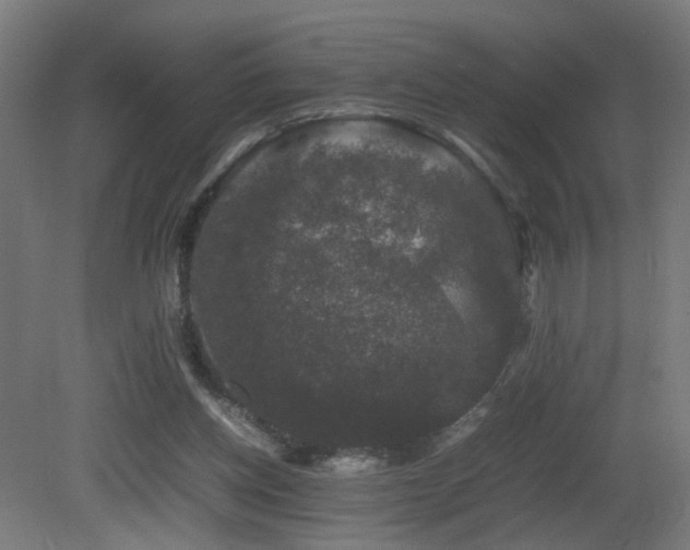 X0000081350158200701111504