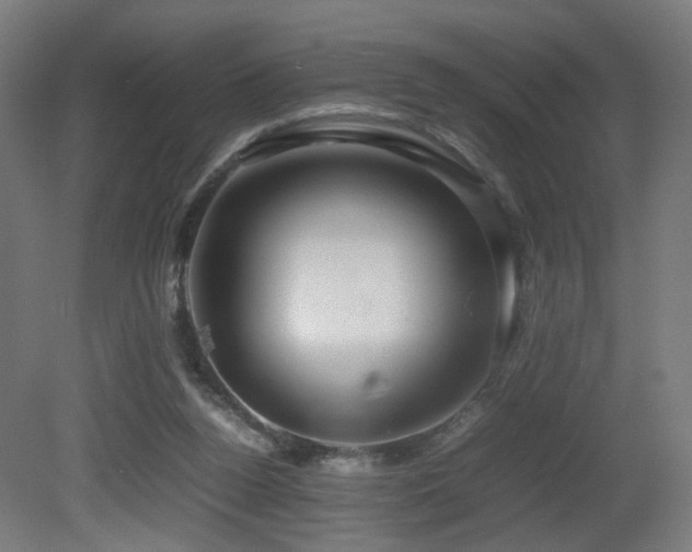 X0000081350160200701111504