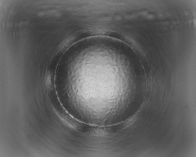 X0000081350166200701111504