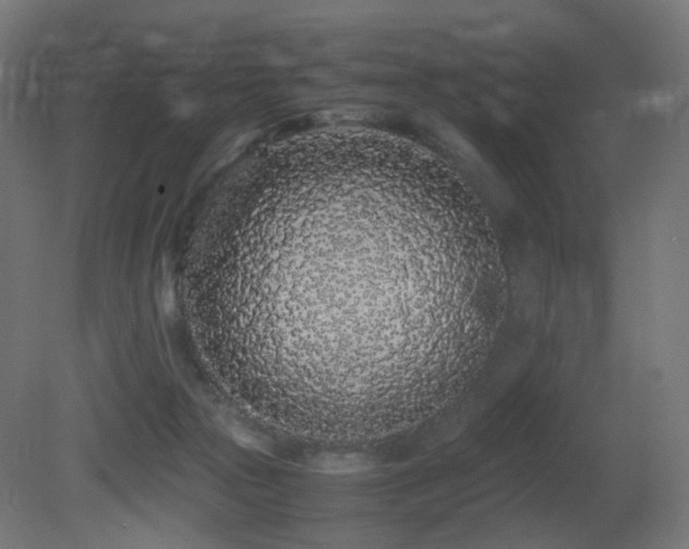 X0000081350169200701111504
