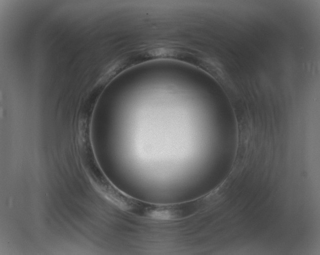 X0000081350171200701111504