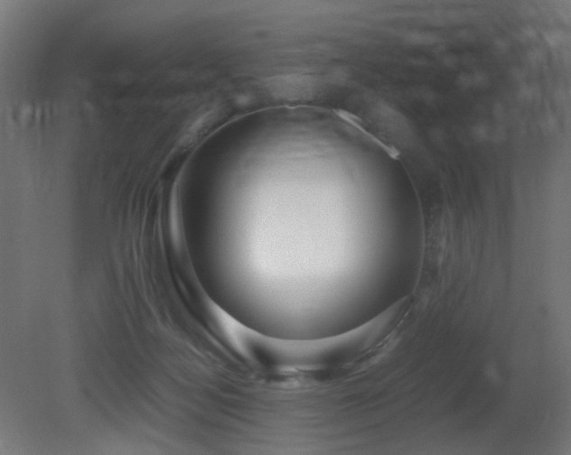X0000081350172200701111504