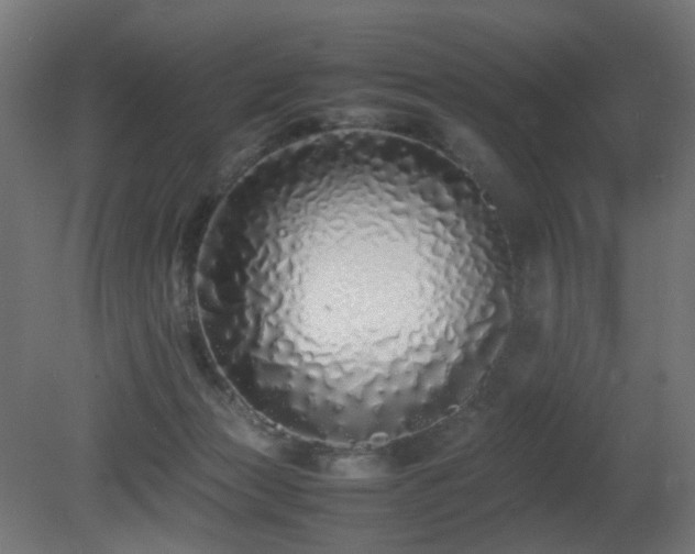 X0000081350173200701111504