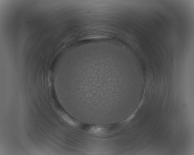 X0000081350174200701111504
