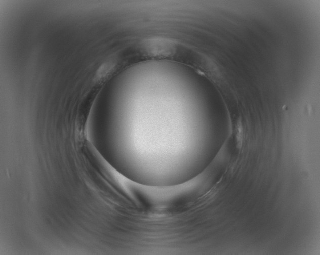 X0000081350176200701111504