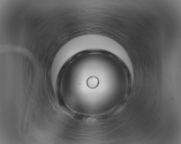 X0000081350180200701111504