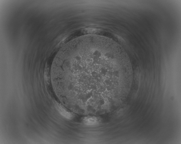 X0000081350181200701111504