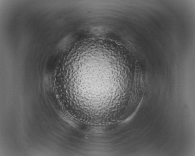 X0000081350182200701111505