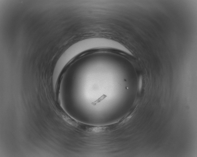 X0000081350184200701111505