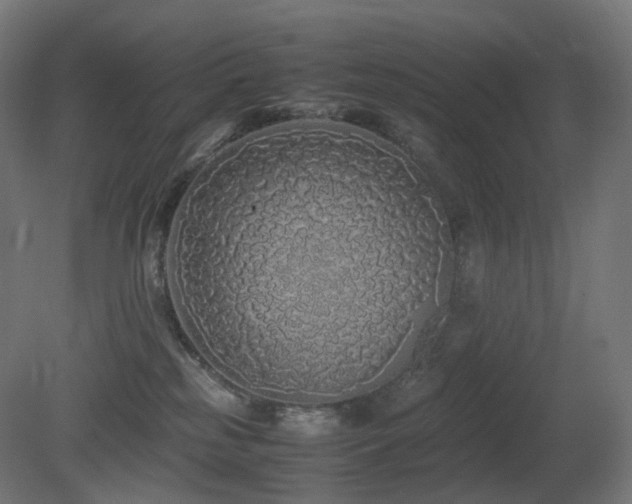 X0000081350185200701111505