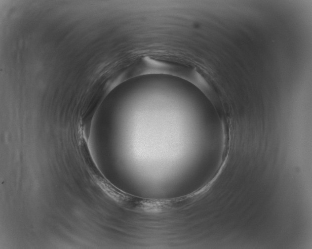 X0000081350190200701111505