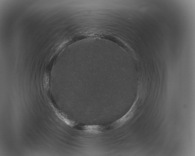 X0000081350192200701111505