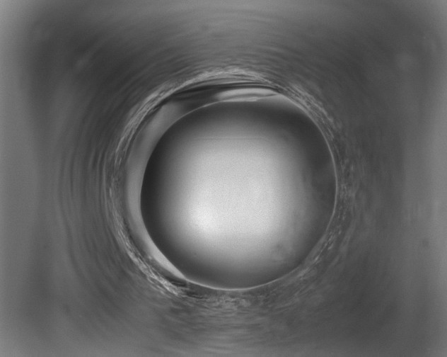 X0000081350193200701111504