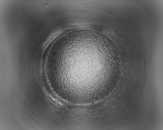 X0000081350194200701111504