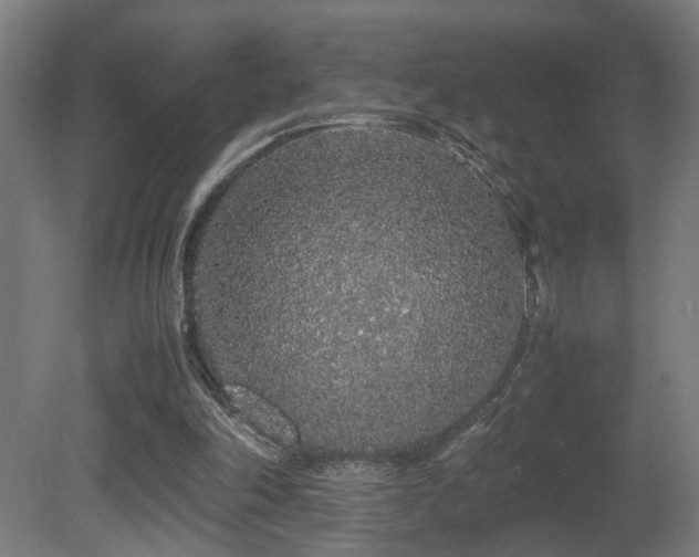 X0000081350198200701111504