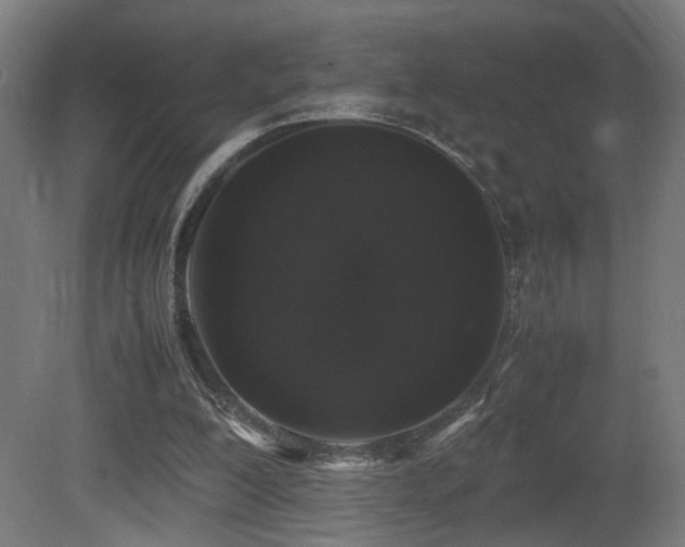 X0000081350200200701111504