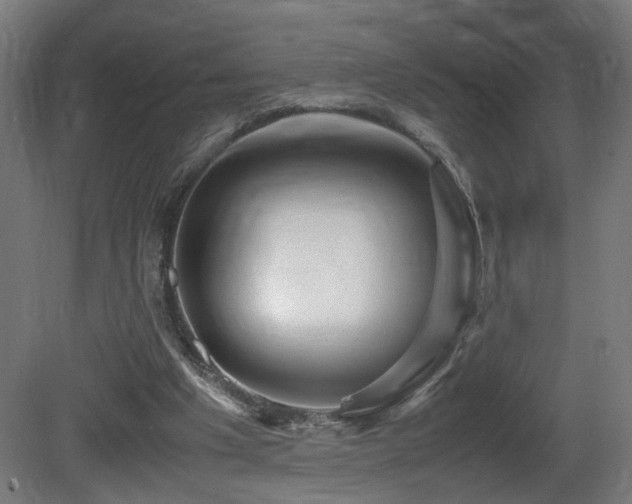 X0000081350201200701111504