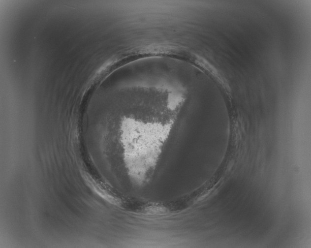 X0000081350203200701111504