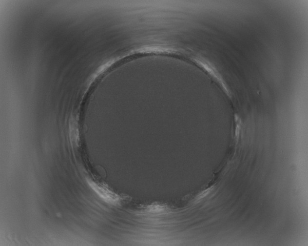 X0000081350204200701111504