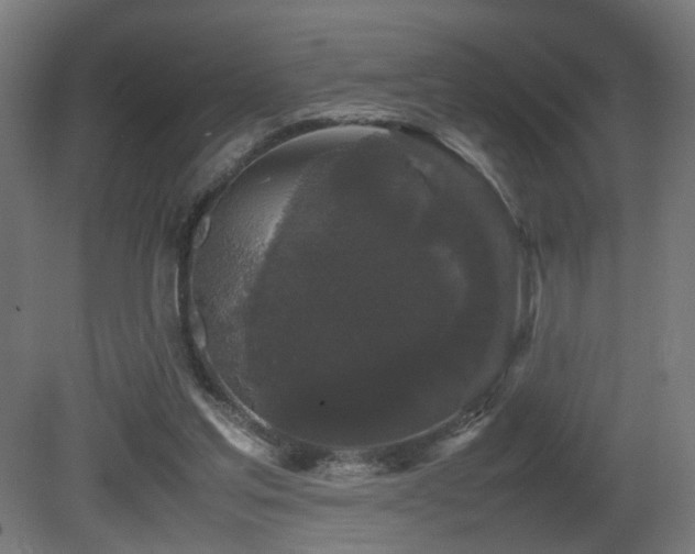 X0000081350205200701111504