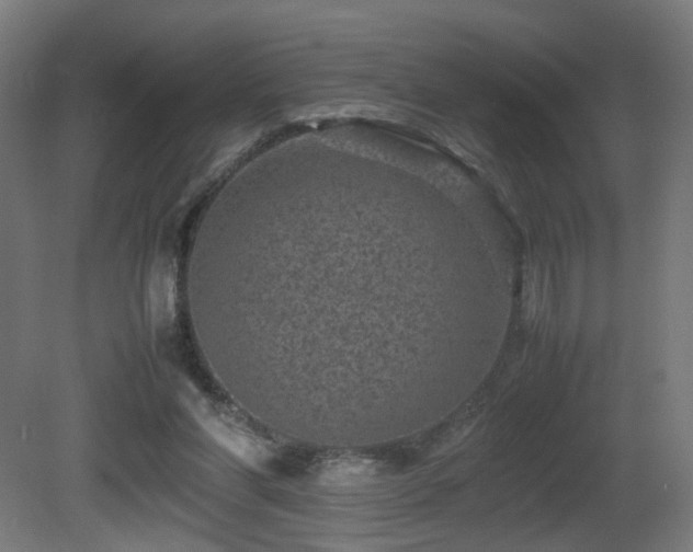 X0000081350206200701111504