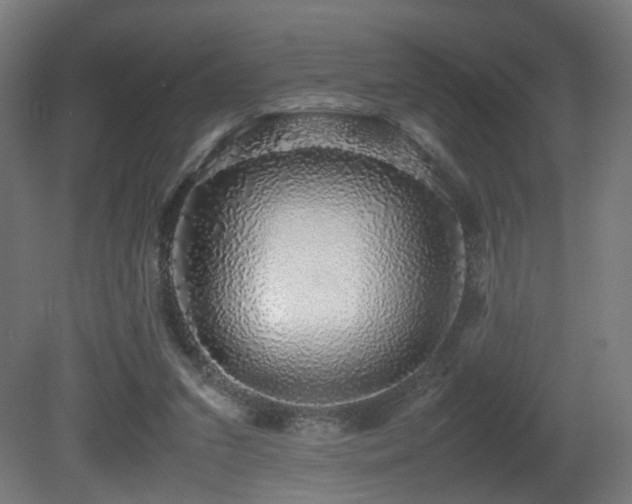 X0000081350207200701111504