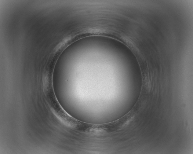 X0000081350208200701111504