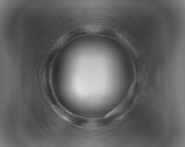 X0000081350209200701111504