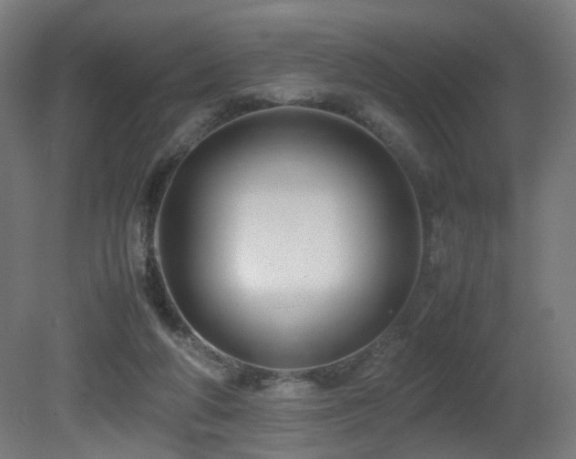 X0000081350210200701111504