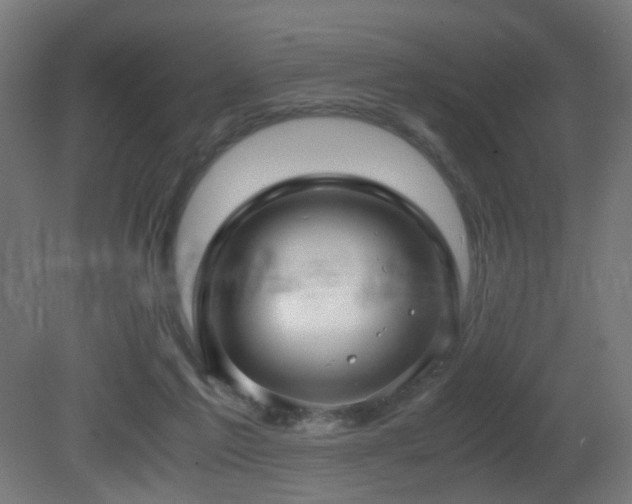 X0000081350213200701111504